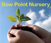Bow Point Nursery